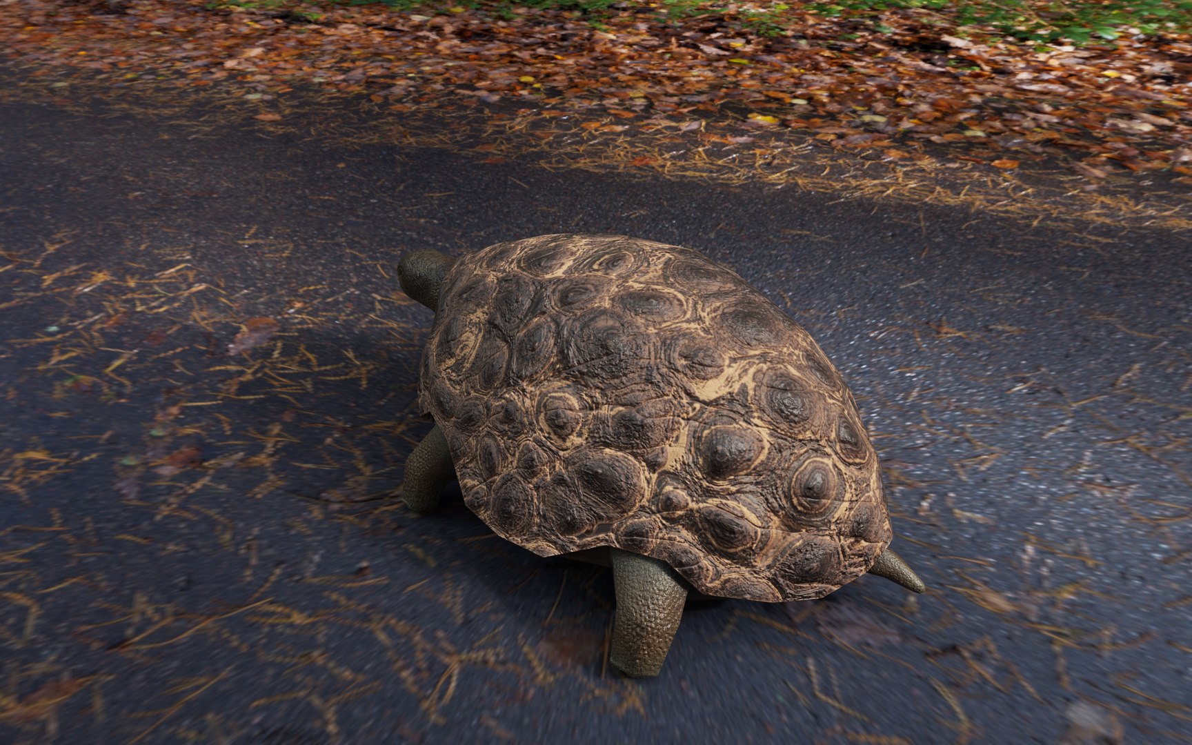 Rigged Turtle 3D Model - TurboSquid 2259716