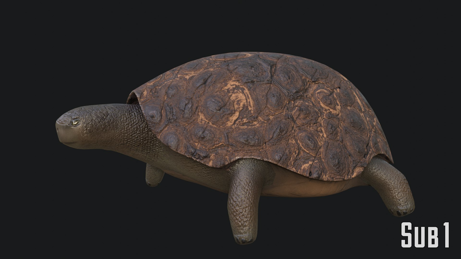 Rigged Turtle 3D Model - TurboSquid 2259716