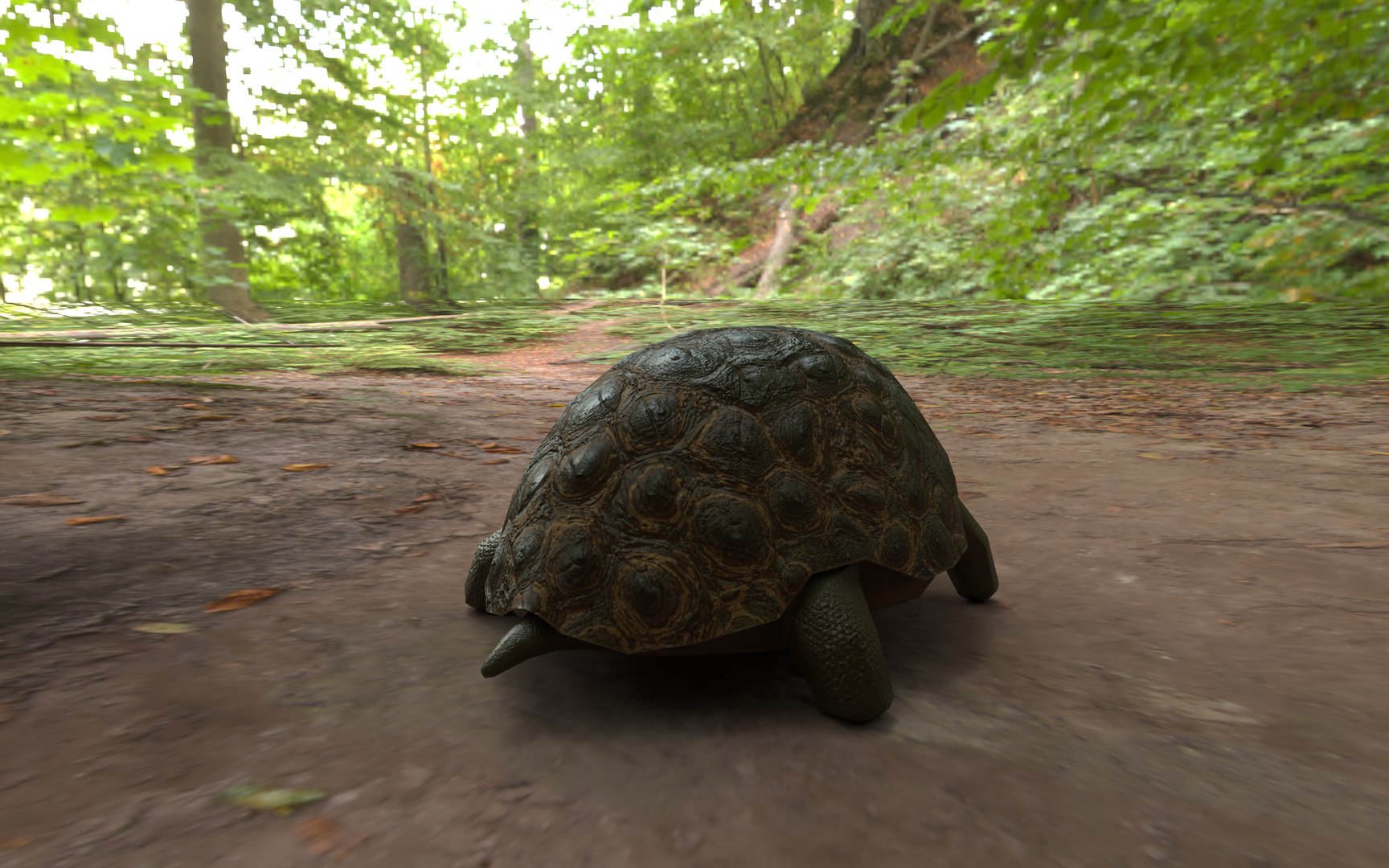 Rigged Turtle 3D Model - TurboSquid 2259716