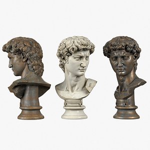 David Bust