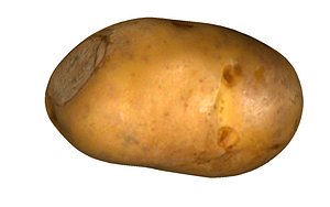 potato clean ready model