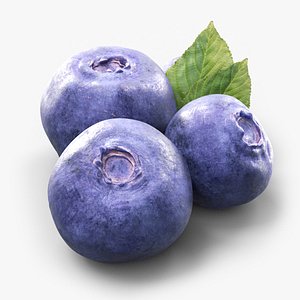 blueberries blue 3D