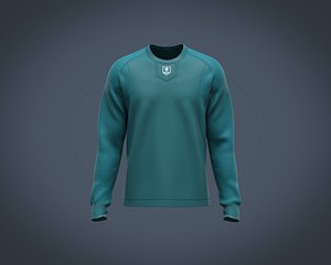 3D model Mens cut and sew sweatshirt with print