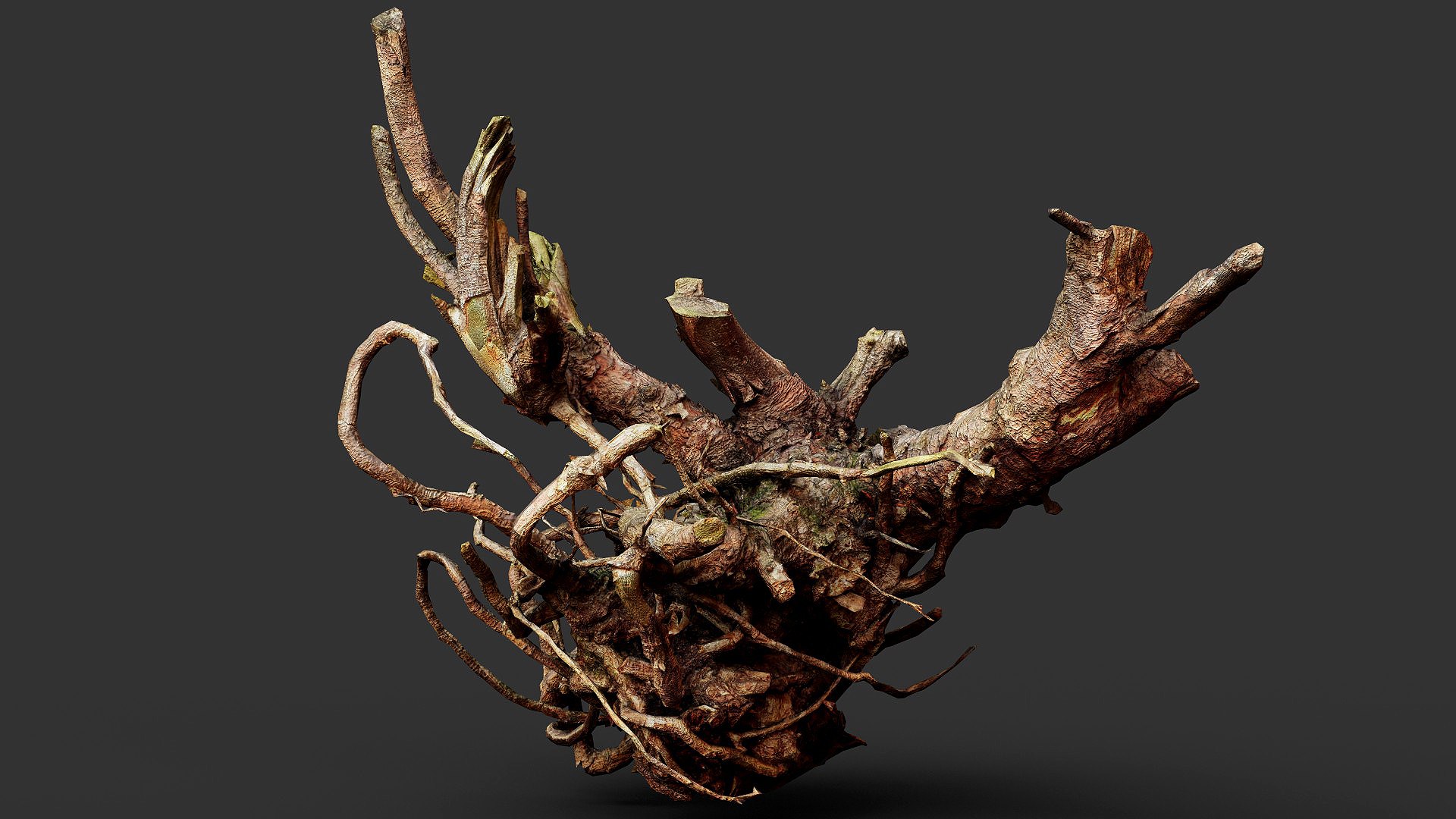 3D Tree Roots Dry Wooden Stump Debris Pt4 PBR Photogrammetry Model ...