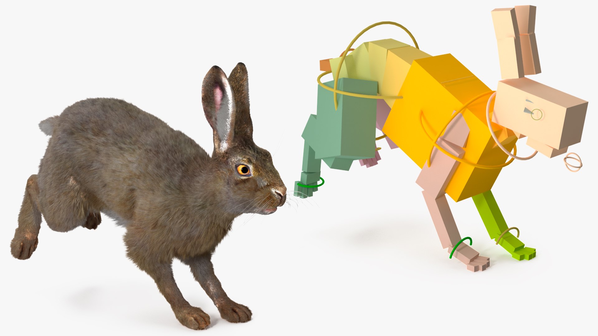 3D Hare With Fur Animated Model - TurboSquid 2241922