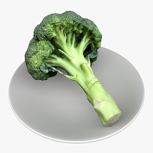 broccoli vegetable food 3D
