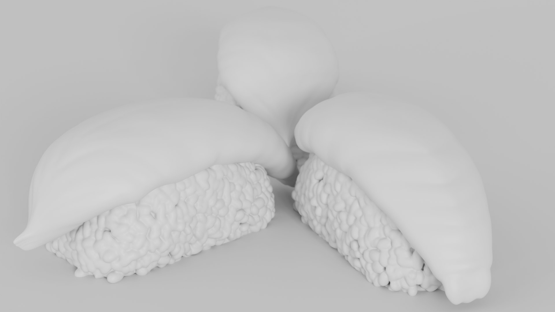3D Realistic Nigiri Sushi https://p.turbosquid.com/ts-thumb/3M/naikLp/sB/clay/png/1748823845/1920x1080/fit_q87/9cee9112b20cfa0d2946b2def703e9757a027b76/clay.jpg