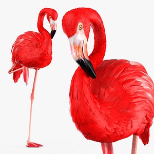 Standing Flamingo Bird on One Leg Red 3D
