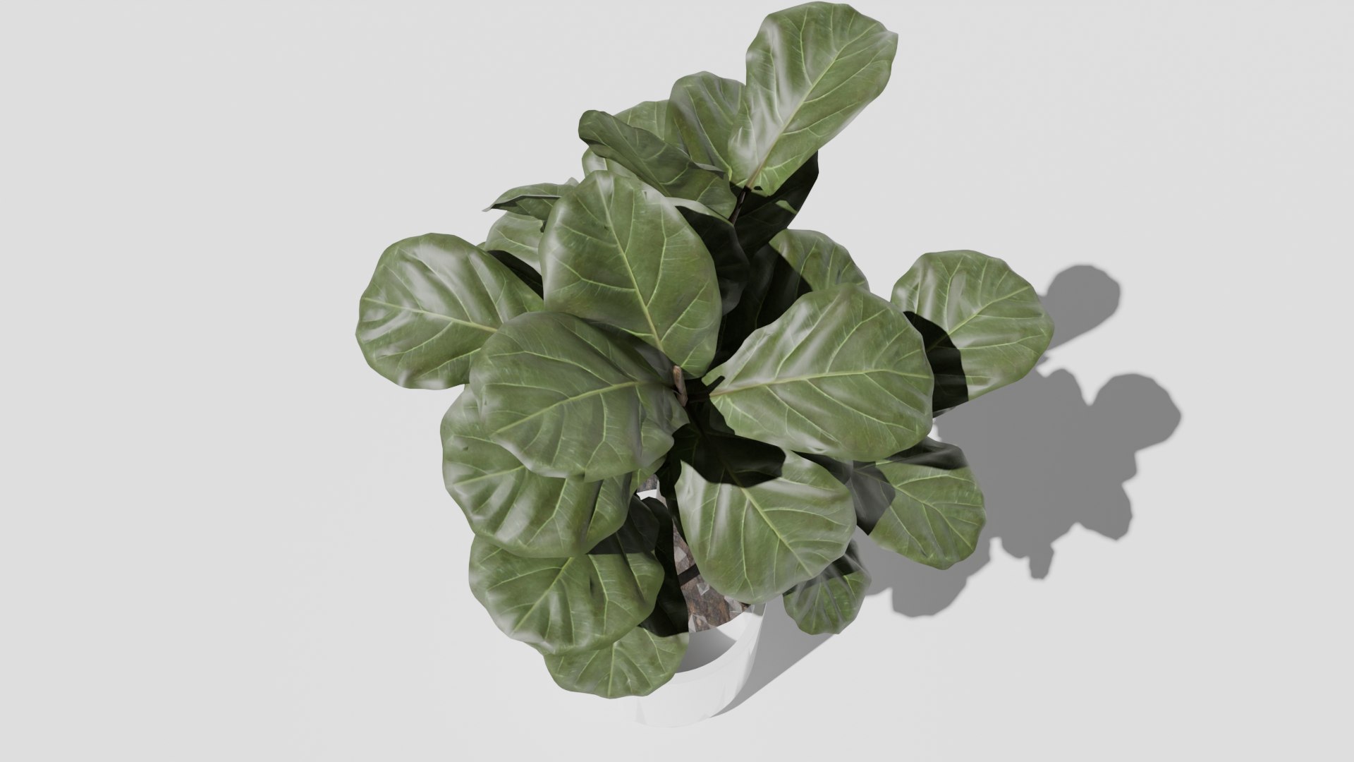 3D model plant 1 https://p.turbosquid.com/ts-thumb/3N/CWpxQb/2N/plant4png/png/1726563688/1920x1080/fit_q87/10c88f777ed8c3b346dd21090bf704e1c4c0aa73/plant4png.jpg