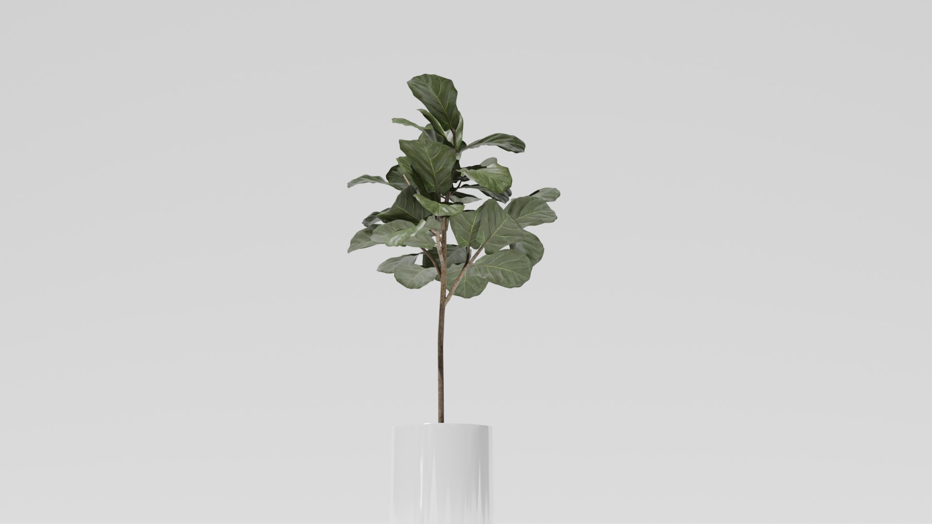 3D model plant 1 https://p.turbosquid.com/ts-thumb/3N/CWpxQb/6H/plant3png/png/1726563687/1920x1080/fit_q87/82514ed41a77b6e0909674daae9699cefcecef02/plant3png.jpg