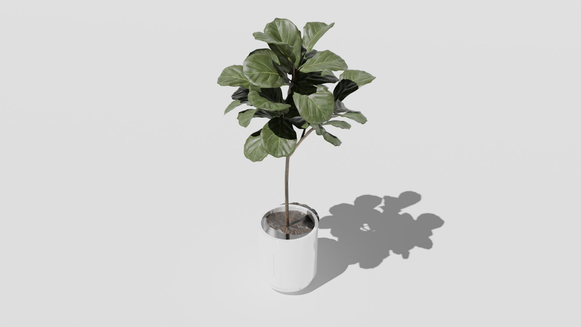 3D model plant 1 https://p.turbosquid.com/ts-thumb/3N/CWpxQb/Jm/plant5png/png/1726563690/1920x1080/fit_q87/f6d4c66155416e5600825aea0eb13b572ba54e0d/plant5png.jpg