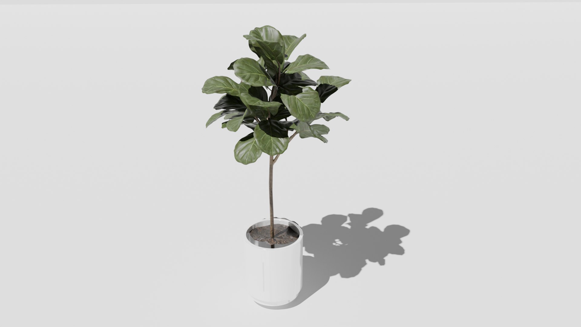 3D model plant 1 https://p.turbosquid.com/ts-thumb/3N/CWpxQb/mC/plant2png/png/1726563687/1920x1080/fit_q87/0ce1e63bfd7d2f59d423745d4c279e4eb7e3a2e9/plant2png.jpg