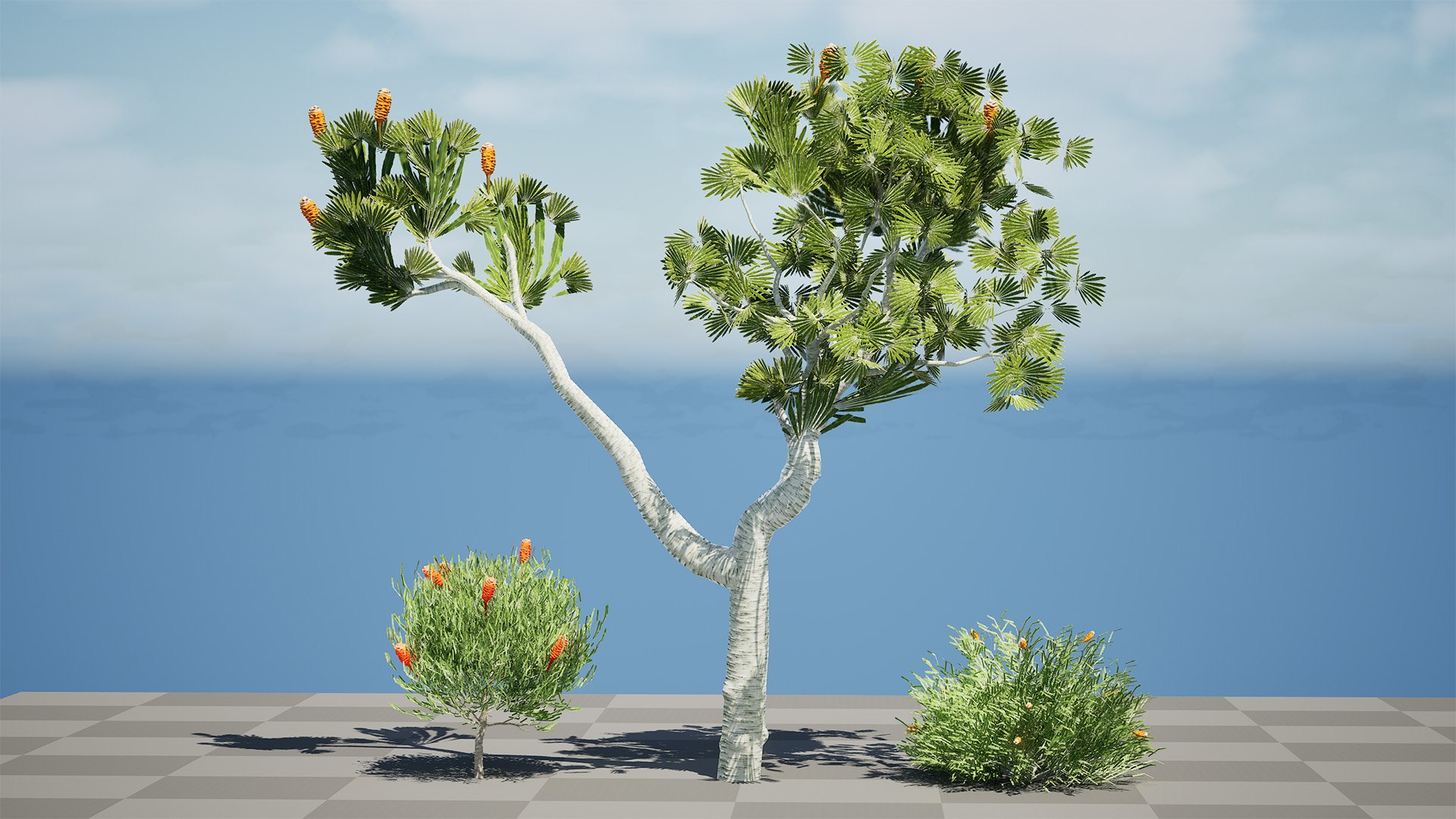 3D Realistic Banksia Tree 3D Asset - TurboSquid 2394618
