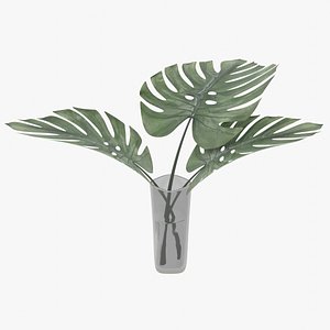 GLASS VASE WITH SWISS-CHEESE PLANT 3D model