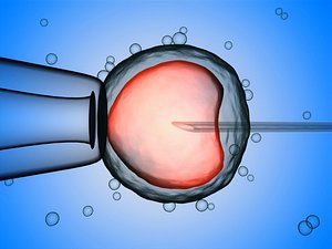 Artificial insemination  in vitro fertilization  fertility treatments