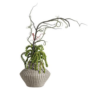 bouquet