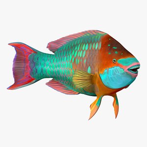 rainbow parrot fish rigged 3d max