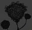 Microscopic Micro organism Pack