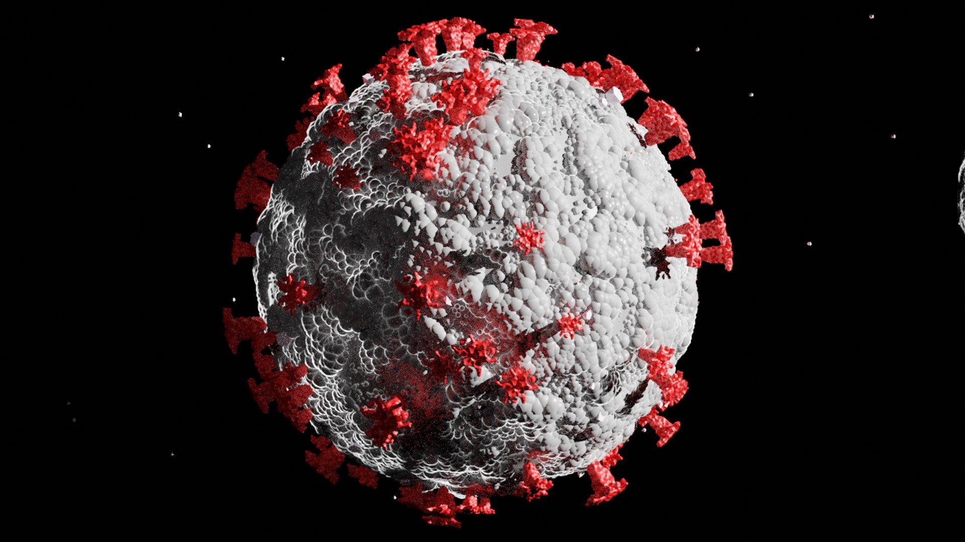 microscopic pack model https://p.turbosquid.com/ts-thumb/3N/n35v84/wKl8SnmT/0002/png/1604351914/1920x1080/fit_q87/4f7e5ebdf9789f11a8e3322560f70f7ed41e392c/0002.jpg