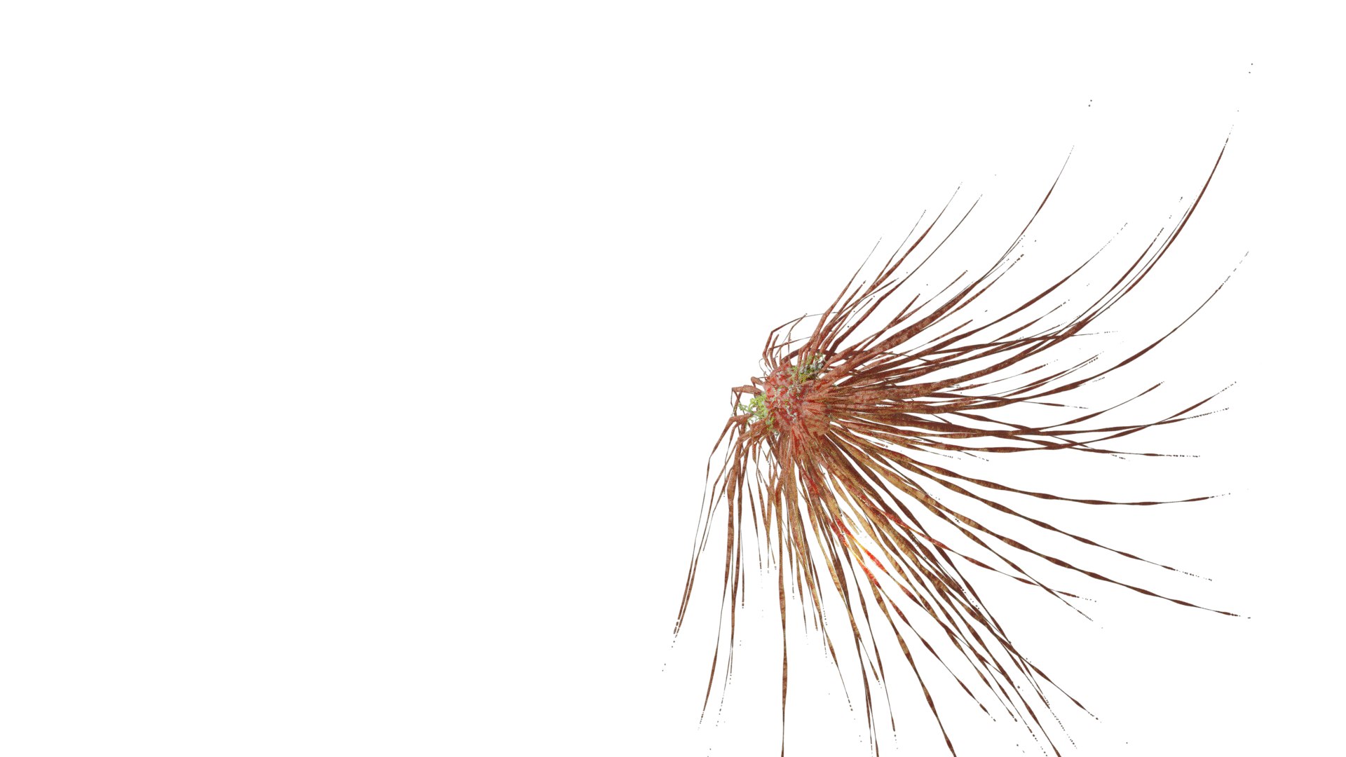 microscopic pack model https://p.turbosquid.com/ts-thumb/3N/n35v84/x4USMKAu/0017/png/1604351940/1920x1080/fit_q87/e3ba48e9b55c0672fbb5b450e9350c47b0c5f40d/0017.jpg