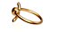 Anillo de nudo
