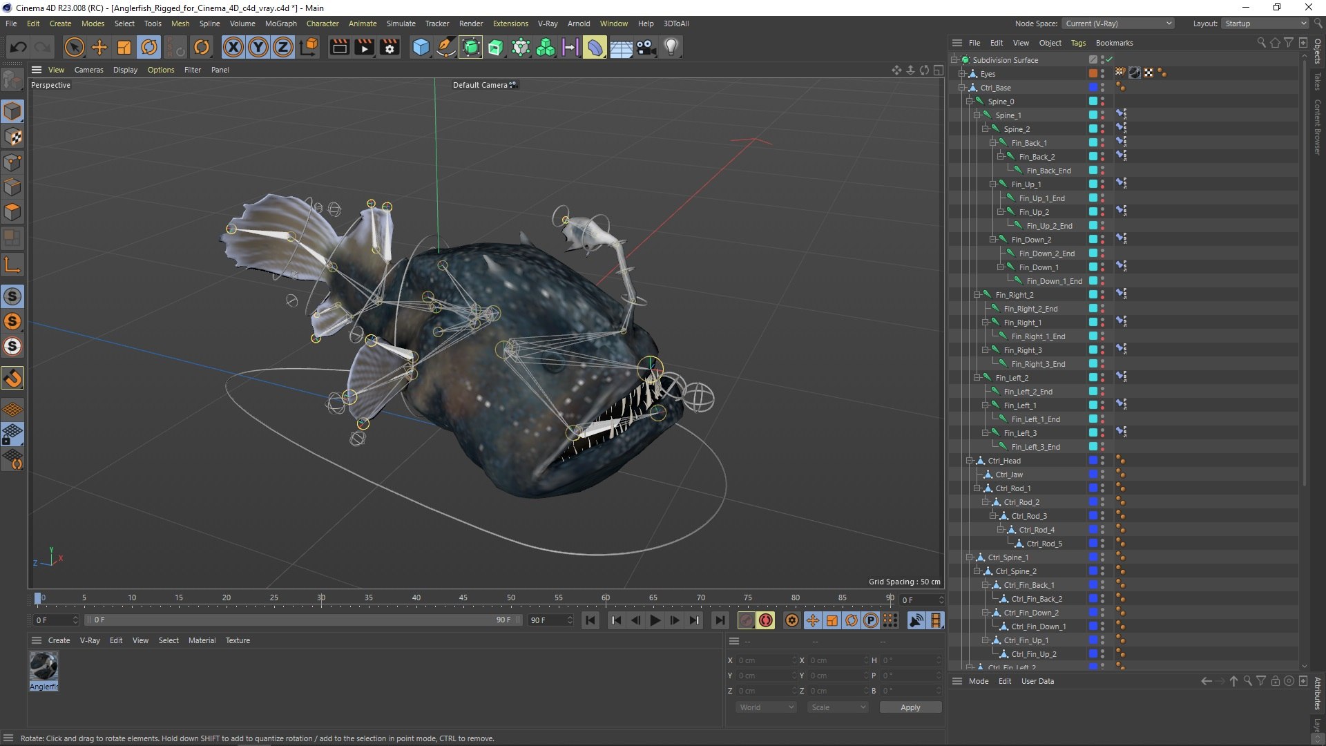 3D Anglerfish Rigged For Cinema 4D Model - TurboSquid 2351989