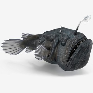 3D Anglerfish Rigged for Cinema 4D model