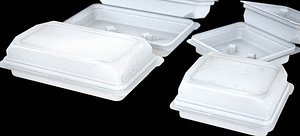 3D PETE 6-BINS FOOD PACKAGE 2024 VER-001 FBX