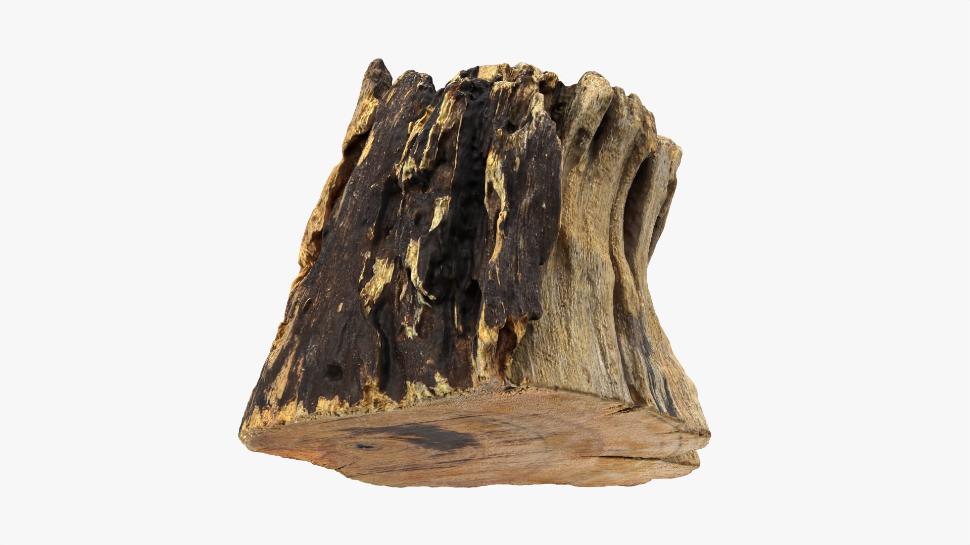 3D Tree Trunk Piece 14 https://p.turbosquid.com/ts-thumb/3O/0sXjRJ/8T/treetrunkpc14_0008/png/1767284865/1920x1080/fit_q87/978444dbde0f1a4797492850ab33a5c8da8db9b3/treetrunkpc14_0008.jpg