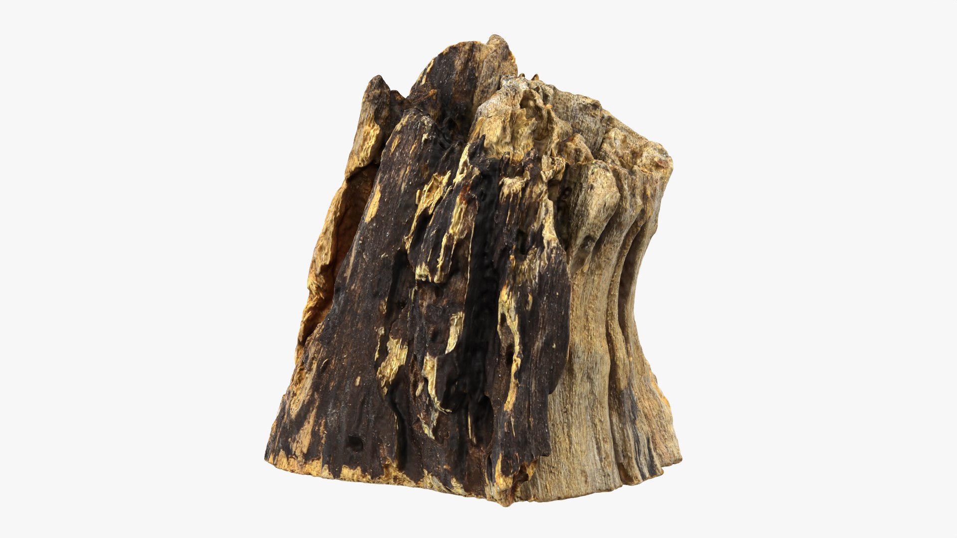 3D Tree Trunk Piece 14 https://p.turbosquid.com/ts-thumb/3O/0sXjRJ/A8/treetrunkpc14_0007/png/1767284862/1920x1080/fit_q87/ce01af042df0fd95c0c509cf4ff4347ffc502bc1/treetrunkpc14_0007.jpg