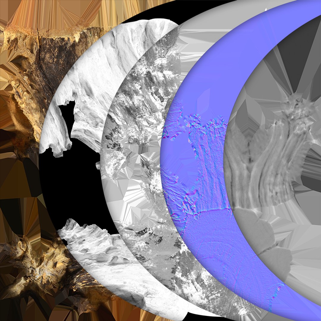 3D Tree Trunk Piece 14 https://p.turbosquid.com/ts-thumb/3O/0sXjRJ/K9/treetrunkpc14_c0005/png/1767284876/1920x1080/fit_q87/a194c8c226d5649dcd8a1359b4e923606ad38018/treetrunkpc14_c0005.jpg