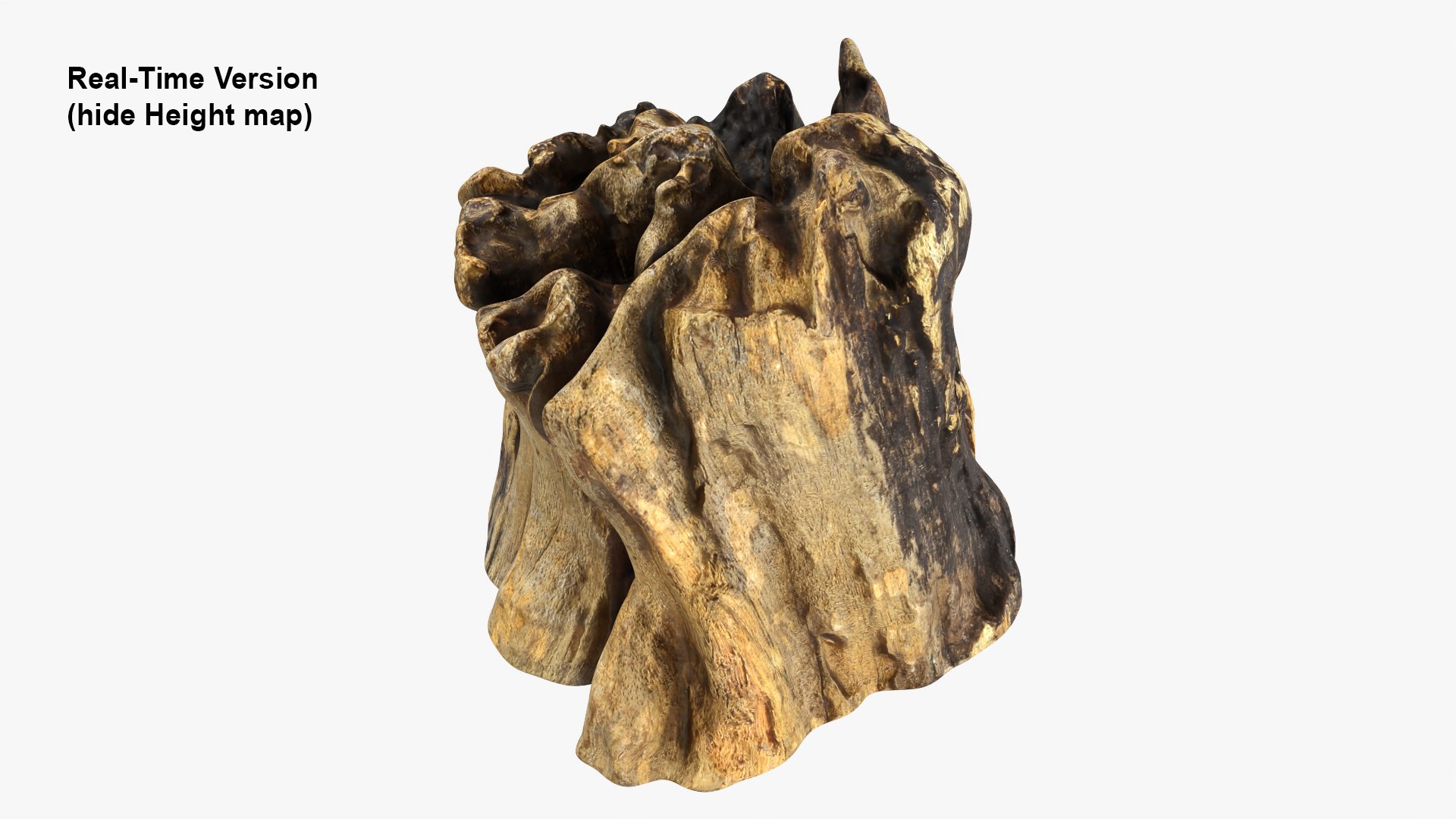 3D Tree Trunk Piece 14 https://p.turbosquid.com/ts-thumb/3O/0sXjRJ/Uk/treetrunkpc14_0006b/png/1767284856/1920x1080/fit_q87/fbe12b48a071fd9a14866a1743ff56ef9523aa6d/treetrunkpc14_0006b.jpg
