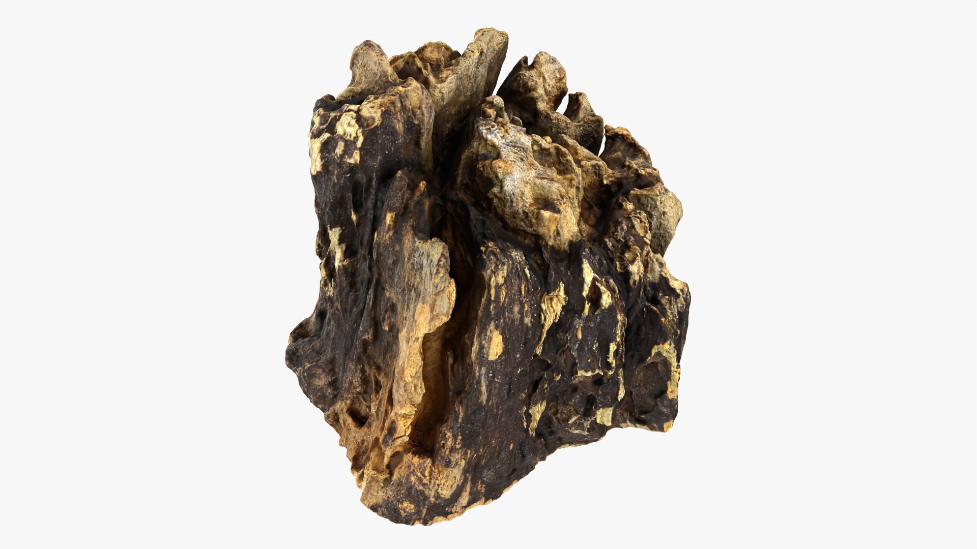 3D Tree Trunk Piece 14 https://p.turbosquid.com/ts-thumb/3O/0sXjRJ/Z5/treetrunkpc14_0003/png/1767284832/1920x1080/fit_q87/b761d80d3c9927ce57e5d33ff289f7ed0ae48114/treetrunkpc14_0003.jpg
