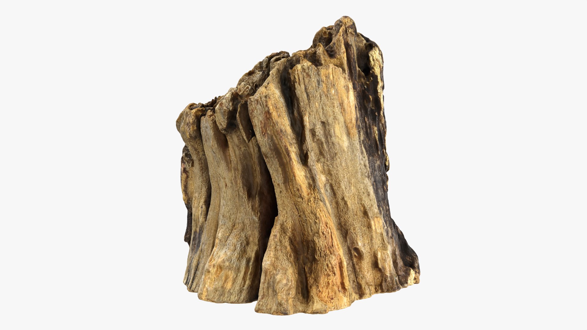 3D Tree Trunk Piece 14 https://p.turbosquid.com/ts-thumb/3O/0sXjRJ/b7/treetrunkpc14_0005/png/1767284848/1920x1080/fit_q87/5145305c883c83343d66594ec014fb76482adefe/treetrunkpc14_0005.jpg