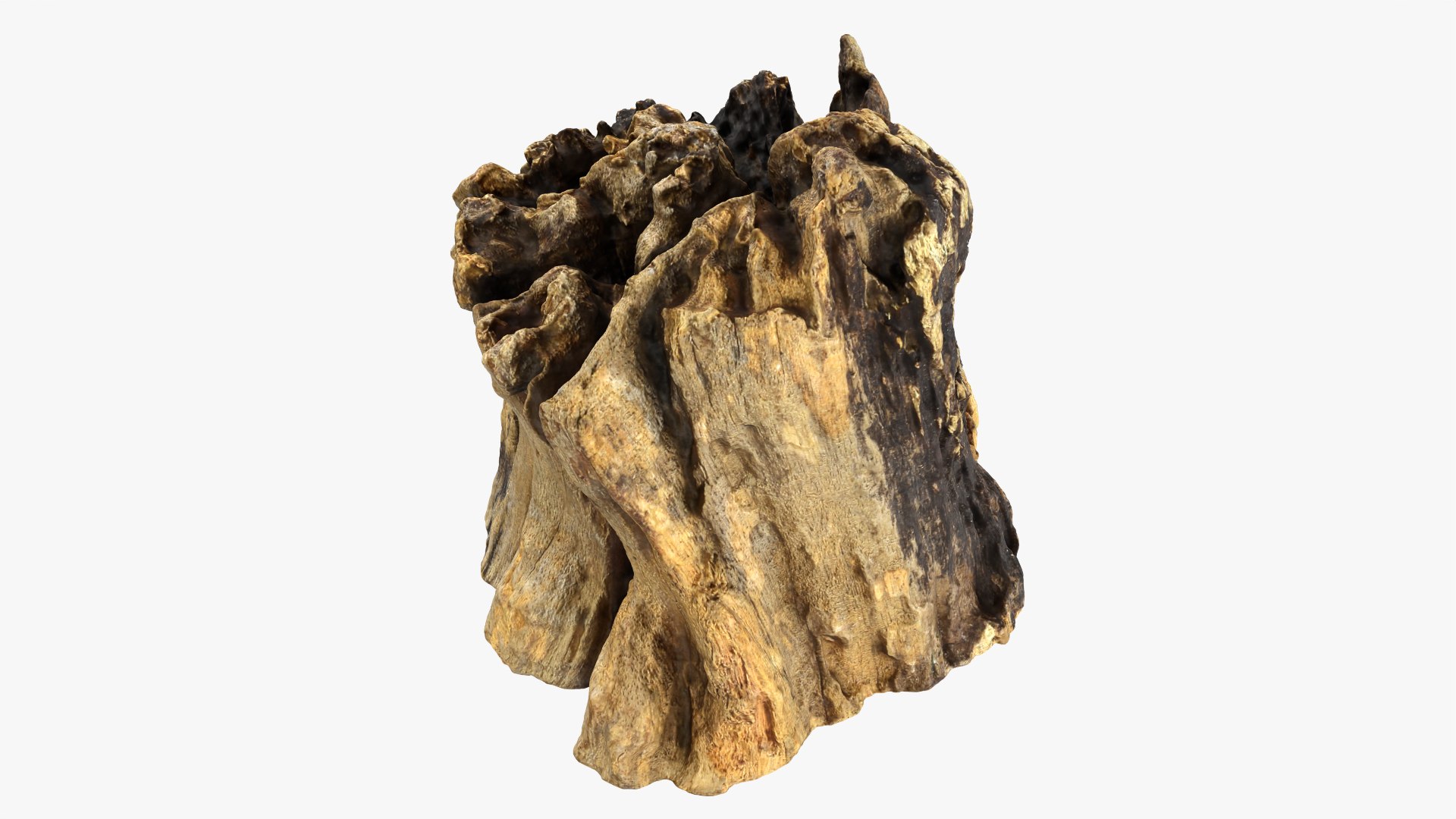 3D Tree Trunk Piece 14 https://p.turbosquid.com/ts-thumb/3O/0sXjRJ/fi/treetrunkpc14_0006/png/1767284856/1920x1080/fit_q87/ed031f38c8d113bb192e77abdcfc373f64f730d8/treetrunkpc14_0006.jpg
