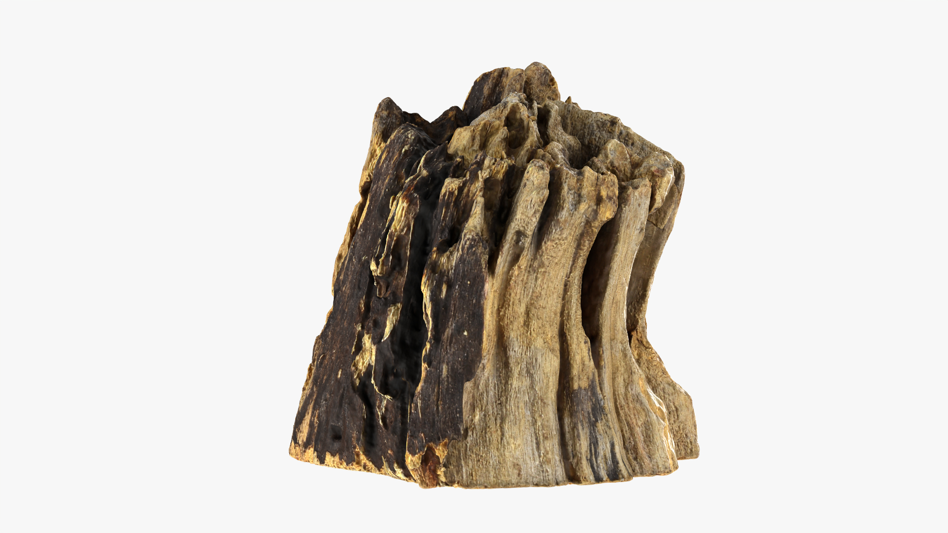 3D Tree Trunk Piece 14 https://p.turbosquid.com/ts-thumb/3O/0sXjRJ/hC/treetrunkpc14/png/1767539912/1920x1080/turn_fit_q99/758ae6d5636b7684ad5caefe5e189abf5f7de137/treetrunkpc14-1.jpg