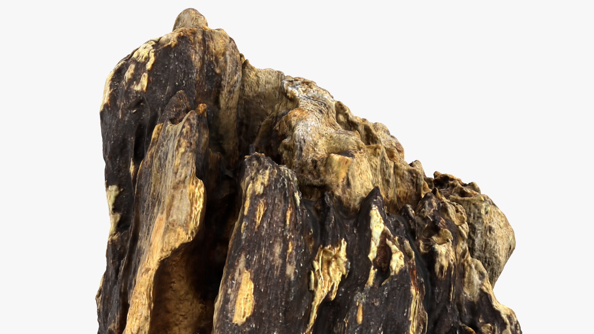 3D Tree Trunk Piece 14 https://p.turbosquid.com/ts-thumb/3O/0sXjRJ/jQ/treetrunkpc14_0012/png/1767284881/1920x1080/fit_q87/88355b35cf5da219f196a5915dbe14d8dae322db/treetrunkpc14_0012.jpg