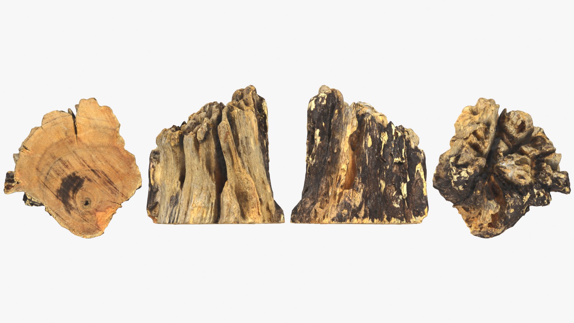3D Tree Trunk Piece 14 https://p.turbosquid.com/ts-thumb/3O/0sXjRJ/k5/treetrunkpc14_0001b/png/1767284816/1920x1080/fit_q87/5d641b6bcb6c9fa2071fe5d9841008a75c101054/treetrunkpc14_0001b.jpg