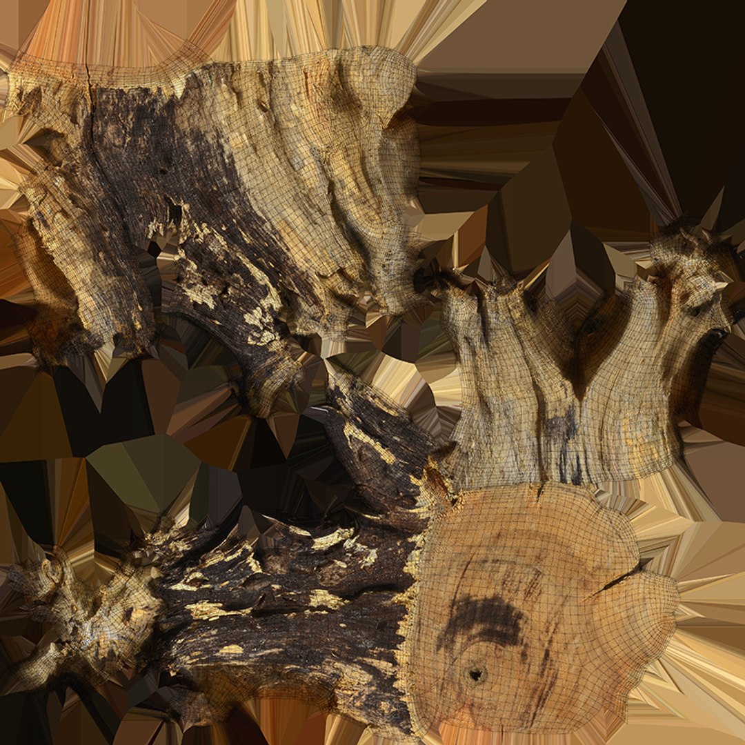 3D Tree Trunk Piece 14 https://p.turbosquid.com/ts-thumb/3O/0sXjRJ/mA/treetrunkpc14_c0004/png/1767284874/1920x1080/fit_q87/1d8a61ae0ead3947fba24415af8e1ec21ab7da76/treetrunkpc14_c0004.jpg