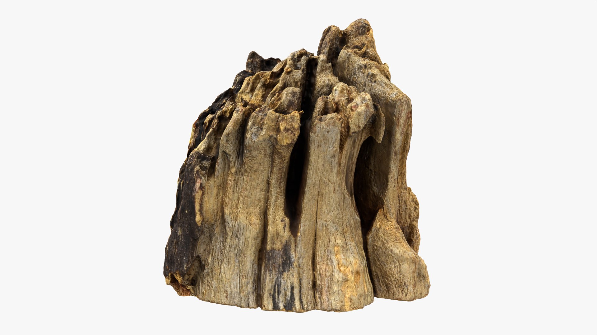 Tree Trunk Piece Collection 2 3D https://p.turbosquid.com/ts-thumb/3O/0sXjRJ/pC/treetrunkpc14_0001/png/1782324945/1920x1080/fit_q87/ed13d45d819faa509674137c00f4e2f0859067c3/treetrunkpc14_0001.jpg