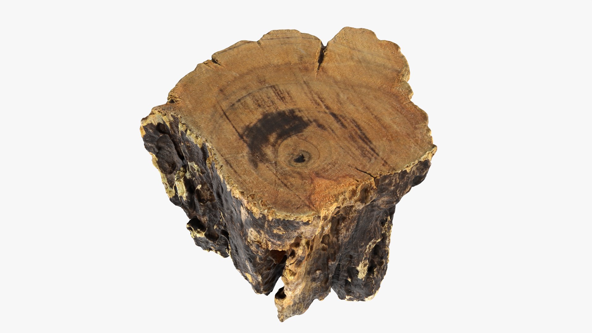 3D Tree Trunk Piece 14 https://p.turbosquid.com/ts-thumb/3O/0sXjRJ/pw/treetrunkpc14_0011/png/1767284873/1920x1080/fit_q87/0c353714e036398841cb31762f5111b333f6bda4/treetrunkpc14_0011.jpg