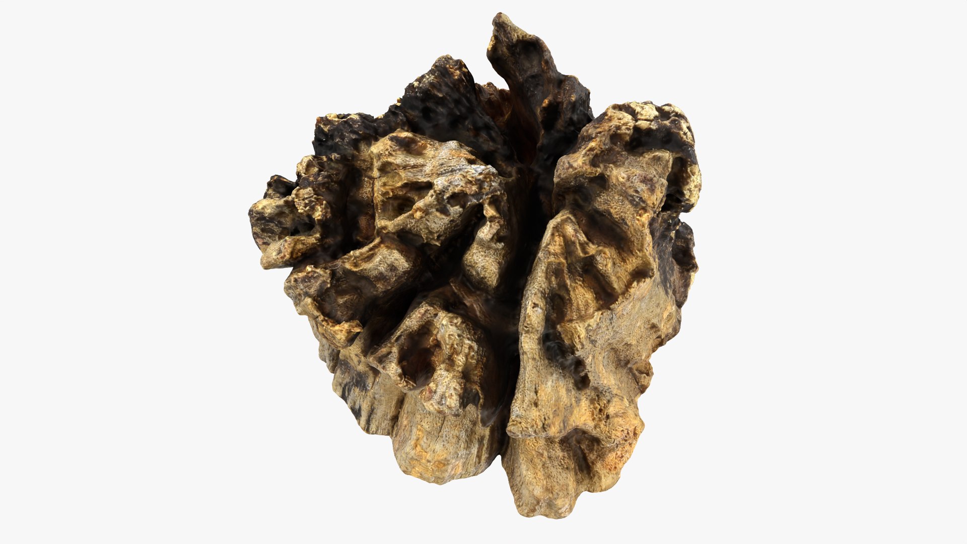 3D Tree Trunk Piece 14 https://p.turbosquid.com/ts-thumb/3O/0sXjRJ/qJ/treetrunkpc14_0010/png/1767284872/1920x1080/fit_q87/8baedb2add78bcf3319186788f2084cea001c57d/treetrunkpc14_0010.jpg