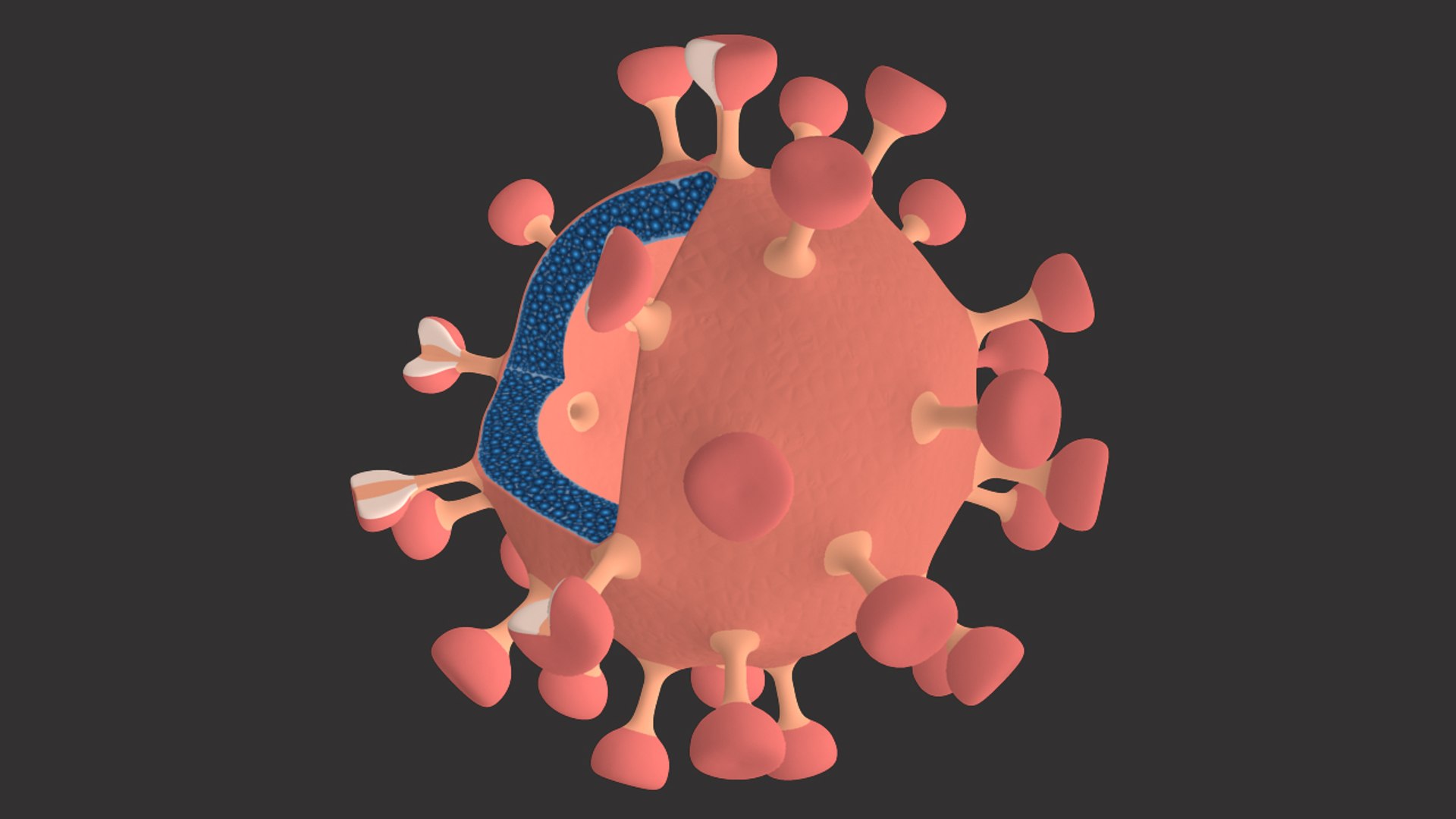 Hiv Virus 3d Model