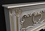 Radiator screen