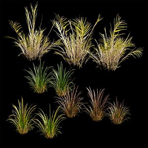 3D Meadow Lawn Grassland Set 003 model