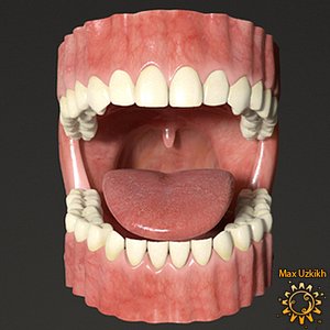 3d model teeth tongue