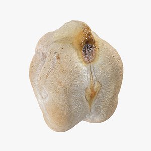 3D Dry Garbanzo Bean 02