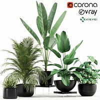 Plants collection 119 GrowFX