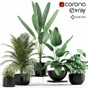 Plants collection 119 GrowFX