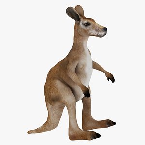 3D marsupial mammal kangaroo